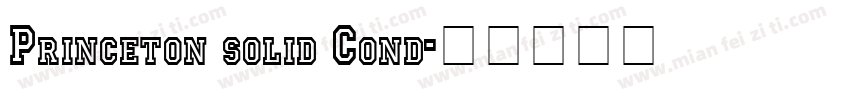 Princeton solid Cond字体转换
